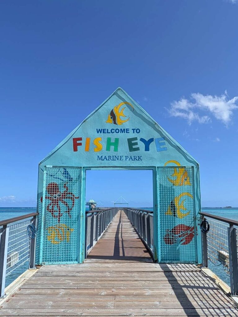 fisheye 桟橋