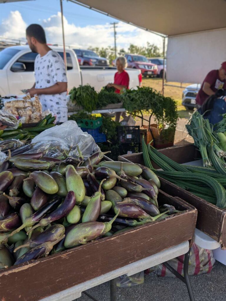 グアム デデドの朝市 ナス ゴーヤ 地元野菜